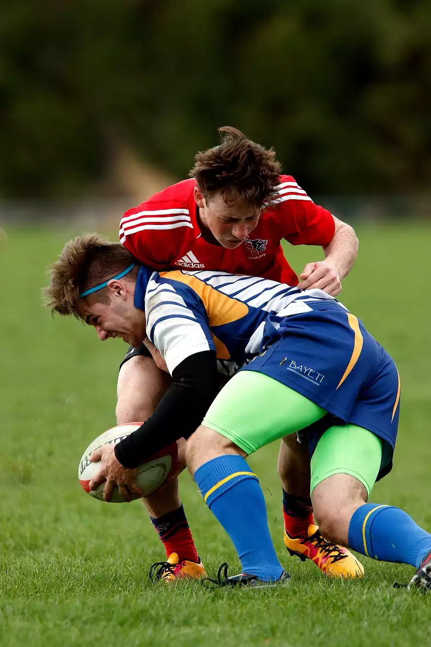 The Rugby World Championship Competition
